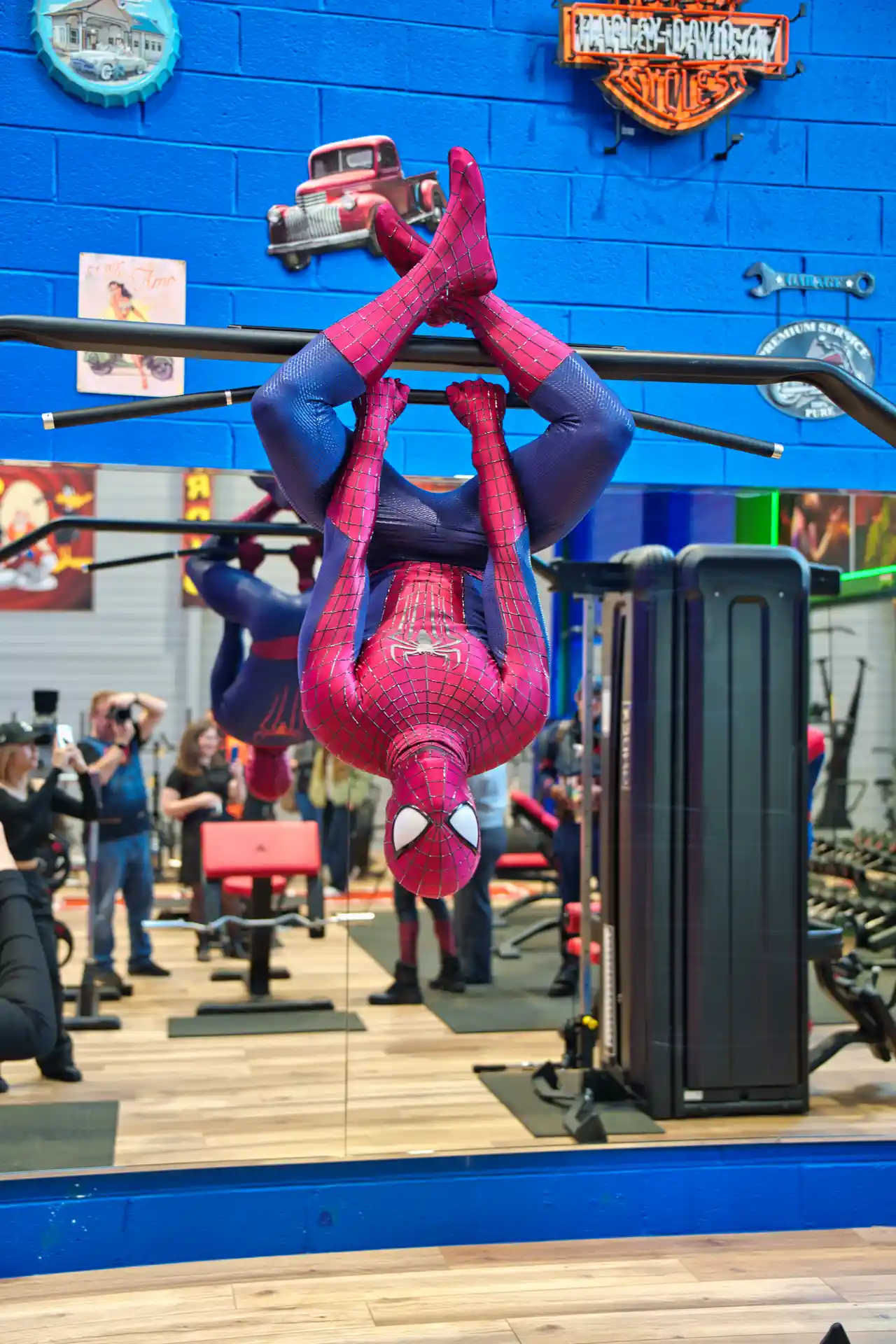 Perspective sur le plateau Elite